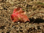 [071012_5.jpg]