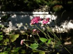 [071019_9.jpg]