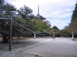[071102_10.jpg]