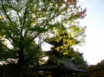 [071102_23.jpg]