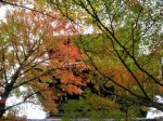 [071116_10.jpg]