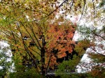 [071116_11.jpg]