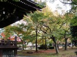 [071116_13.jpg]