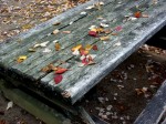 [071116_18.jpg]