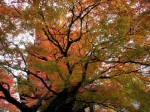 [071122_8.jpg]