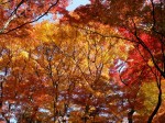 [071130_21.jpg]