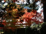 [071130_29.jpg]