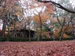 [071207_18.jpg]