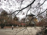 [071207_27.jpg]