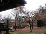 [071207_28.jpg]