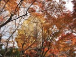 [071207_31.jpg]