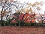 [071207_33.jpg]