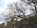 [071213_19.jpg]