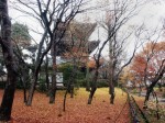 [071213_4.jpg]