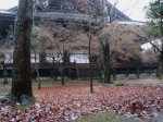 [071222_11.jpg]