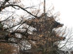[071222_3.jpg]