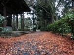[071222_6.jpg]