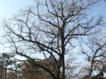 [071227_10.jpg]