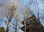 [071227_3.jpg]