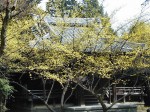 [010324.jpg]