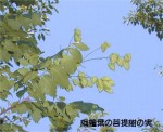 [010721_1.jpg]