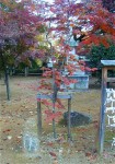 [011117_2.jpg]