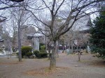 [020105_1.jpg]