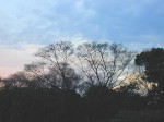 [020221_1.jpg]