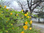 [020329.jpg]