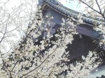 [020330_3.jpg]
