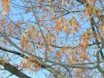 [020406.jpg]