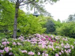 [020420.jpg]