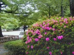 [020518_1.jpg]