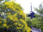 [020629.jpg]