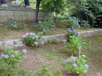 [020629_1.jpg]