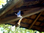 [020727_5.jpg]