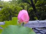 [020803_1.jpg]