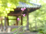 [020829.jpg]